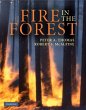 Fire in the Forest (eBook, PDF) - Bild 1