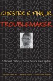 Troublemaker (eBook, ePUB)