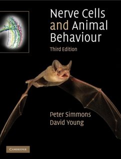 Nerve Cells and Animal Behaviour (eBook, PDF) - Simmons, Peter