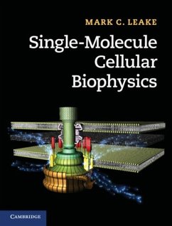 Single-Molecule Cellular Biophysics (eBook, PDF) - Leake, Mark C.