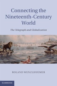 Connecting the Nineteenth-Century World (eBook, PDF) - Wenzlhuemer, Roland