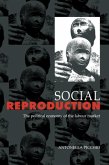Social Reproduction (eBook, PDF)