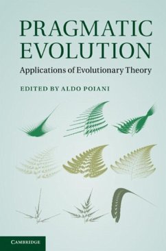 Cover Pragmatic Evolution (eBook, PDF)