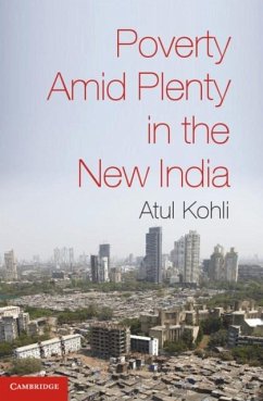 Poverty amid Plenty in the New India (eBook, PDF) - Kohli, Atul