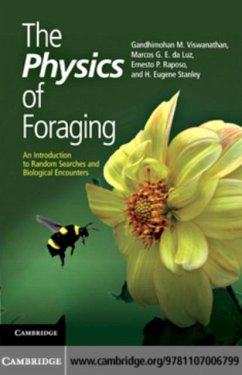 Physics of Foraging (eBook, PDF) - Viswanathan, Gandhimohan. M.