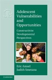 Adolescent Vulnerabilities and Opportunities (eBook, PDF)