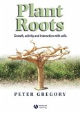 Plant Roots (eBook, PDF)