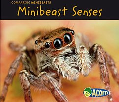 Minibeast Senses (eBook, PDF) - Guillain, Charlotte