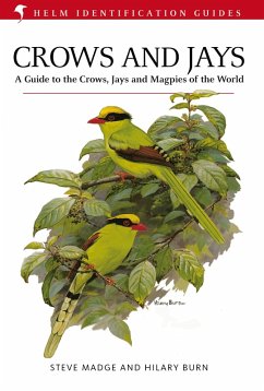 Crows and Jays (eBook, ePUB) - Madge, Steve