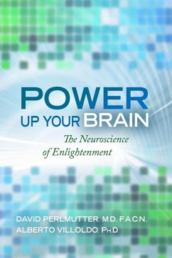 Power Up Your Brain (eBook, ePUB) - Perlmutter, David; Villoldo, Alberto