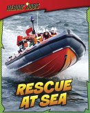 Rescue at Sea (eBook, PDF)