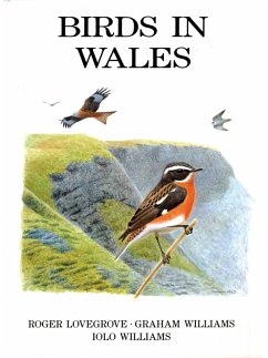 Cover Birds in Wales (eBook, ePUB)