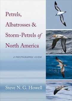 Petrels, Albatrosses, and Storm-Petrels of North America (eBook, ePUB) - Howell, Steve N. G.