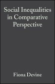 Social Inequalities in Comparative Perspective (eBook, PDF)