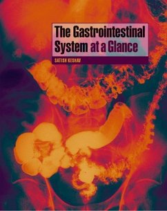 Cover The Gastrointestinal System at a Glance (eBook, PDF)