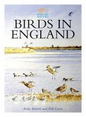 Birds in England (eBook, ePUB)