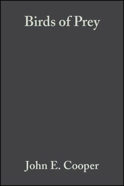 Cover Birds of Prey (eBook, PDF)