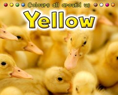 Cover Yellow (eBook, PDF)