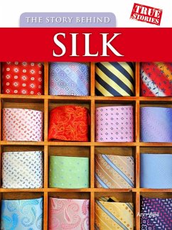 Story Behind Silk (eBook, PDF) - Weil, Ann