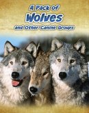 Pack of Wolves (eBook, PDF)
