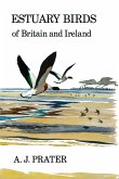 Estuary Birds of Britain and Ireland (eBook, ePUB)