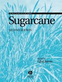 Sugarcane (eBook, PDF)