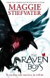 Raven Boys (eBook, ePUB) - Bild 1