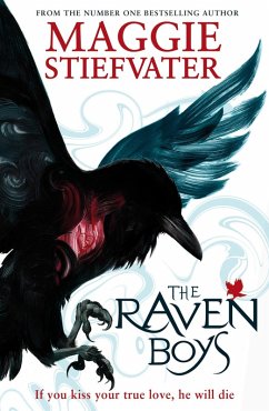 Raven Boys (eBook, ePUB)