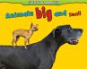 Animals Big and Small (eBook, PDF) - Bild 1
