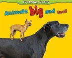 Animals Big and Small (eBook, PDF)