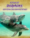 Pod of Dolphins (eBook, PDF)