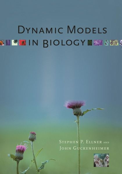 Dynamic Models in Biology (eBook, ePUB) Dynamic Models in Biology (eBook, ePUB)