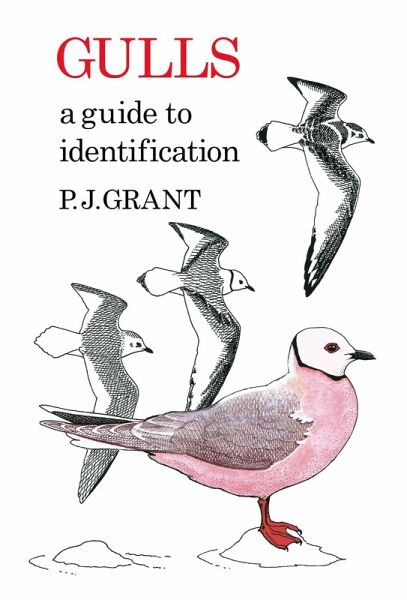 Gulls: A Guide to Identification. 2nd Edition (eBook, ePUB) Gulls: A Guide to Identification. 2nd Edition (eBook, ePUB)