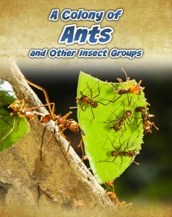 Cover Colony of Ants (eBook, PDF)