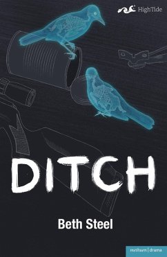 Ditch (eBook, ePUB) - Steel, Beth