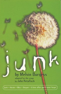 Junk (eBook, ePUB) - Burgess, Melvin