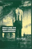 Space and the Irish Cultural Imagination (eBook, PDF)
