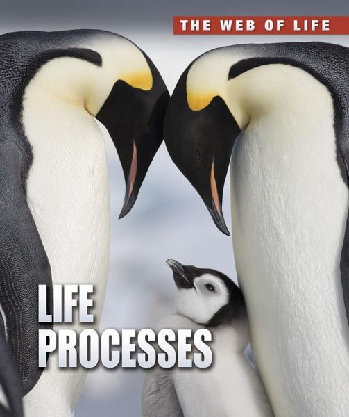 Life Processes (eBook, PDF)