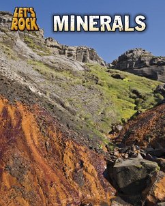Cover Minerals (eBook, PDF)
