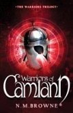 Warriors of Camlann (eBook, ePUB)