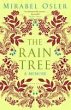 The Rain Tree (eBook, ePUB) - Bild 1