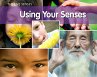 Using Your Senses (eBook, PDF) - Bild 1