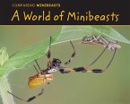 World of Minibeasts (eBook, PDF)