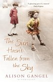 The Sun Hasn't Fallen From the Sky (eBook, ePUB)