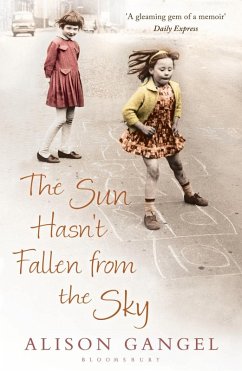 The Sun Hasn't Fallen From the Sky (eBook, ePUB) - Gangel, Alison