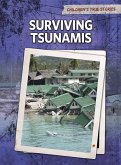 Surviving Tsunamis (eBook, PDF)