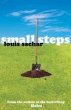 Small Steps (eBook, ePUB) - Bild 1