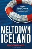 Meltdown Iceland (eBook, ePUB)