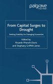 From Capital Surges to Drought (eBook, PDF)