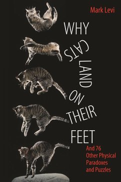 Why Cats Land on Their Feet (eBook, ePUB) - Levi, Mark